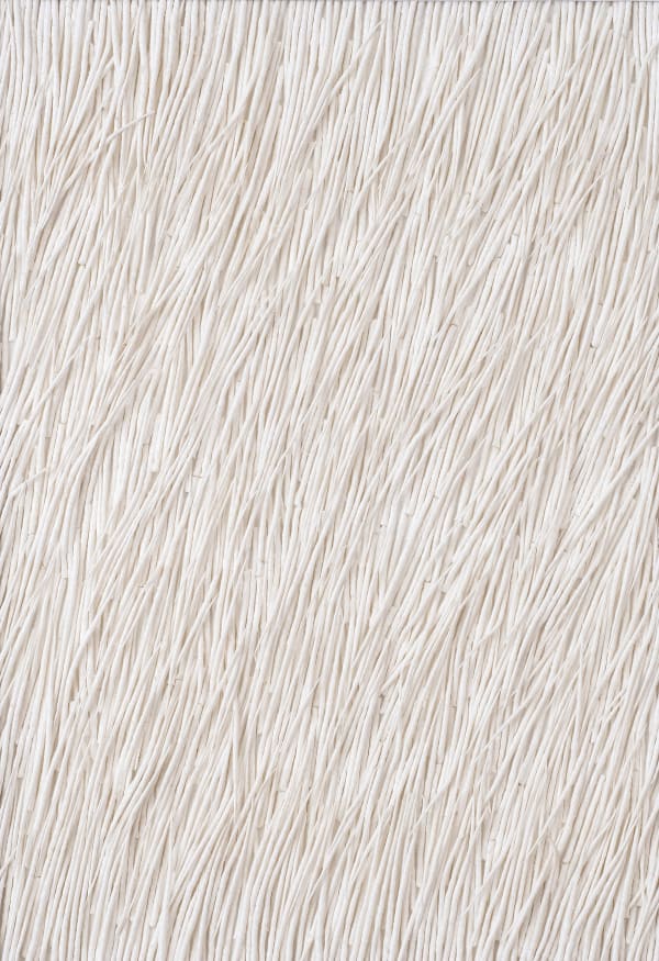 Gleb Skubachevsky, Alien Creature, 9, 2024