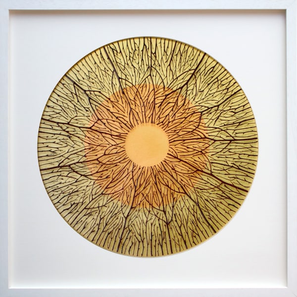 Olga Prinku, Under the Watchful Eye, 2025