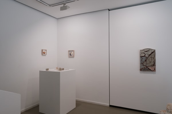 Installation view Livia Marin