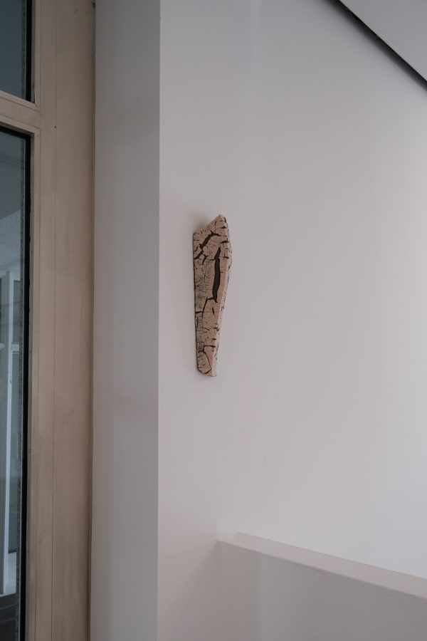 Installation view Irina Razumovskaya