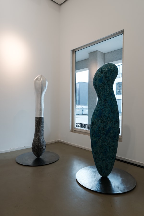 Installation view Uriel Caspi