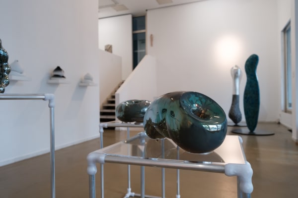 Installation view Uriel Caspi