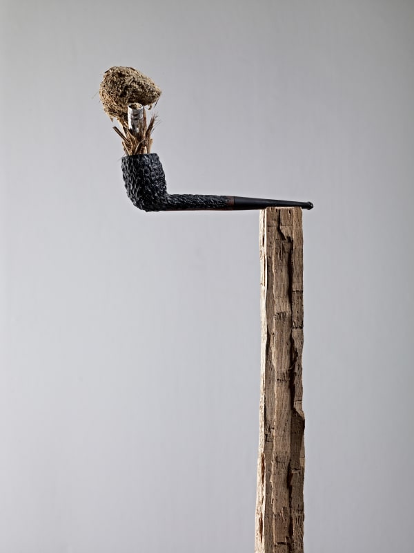 Installation View Kev Harman When A Tree Falls 2012 Ingleby Photo John Mckenzie Cf079985 Press