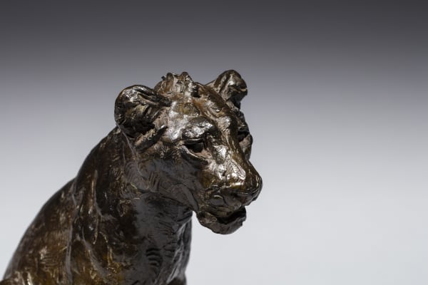 Lionceau à crête assis, Roger Godchaux. Copyright : Galerie Xavier Eeckhout, Paris