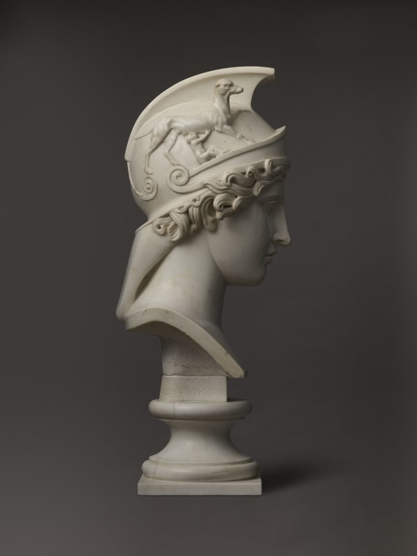 Pacetti Hope Roma Profile 1