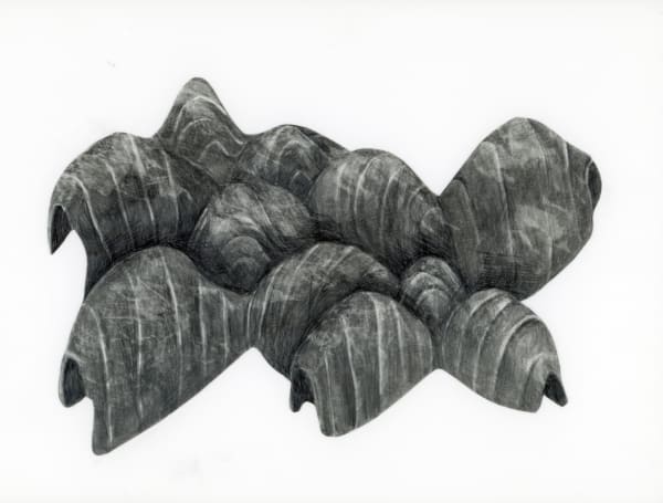 Kendall Buster Graphite on mylar 10.5 x 15.5 in.