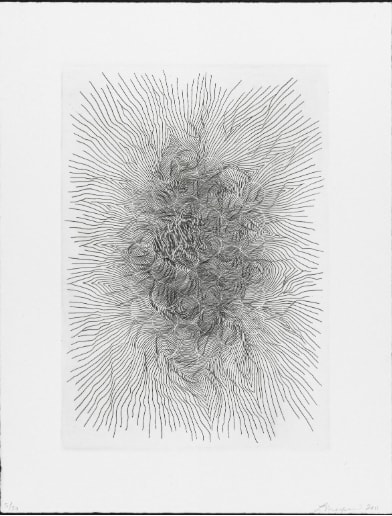linn meyers untitled, 2011 Etching on paper 13.25 x 10.25 in.