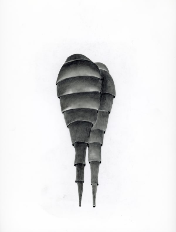 Kendall Buster Graphite on mylar 10.5 x 15.5 in.