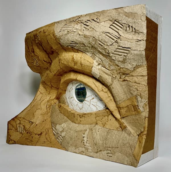 Working Title Professor Evan Reed