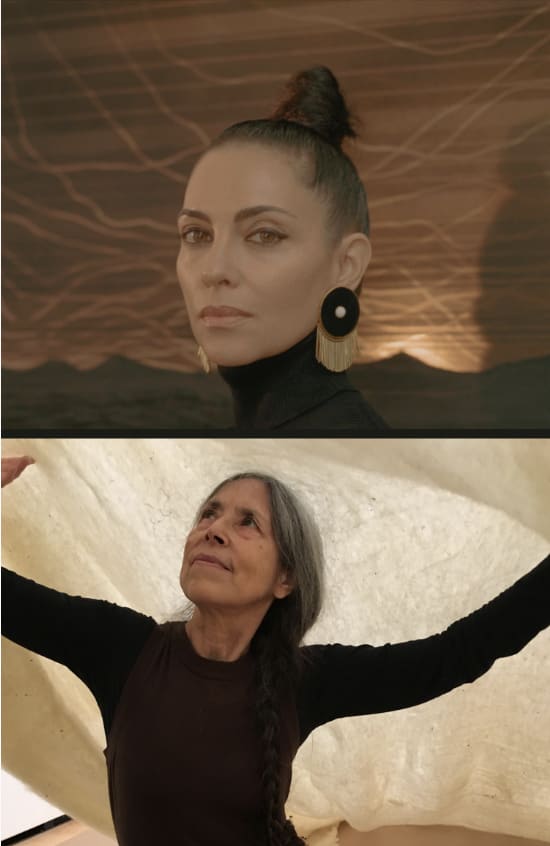 Be Seen AND Heard - Conversations With American Women Artists: Teresita Fernández & Cecilia Vicuña