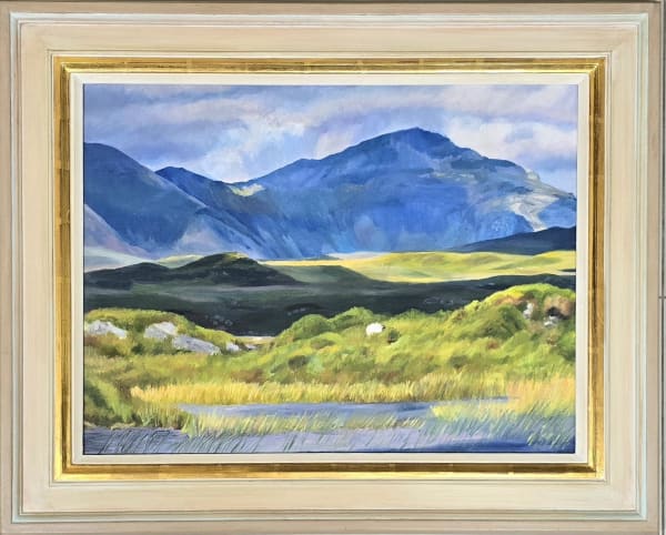 Stephanie Villalba, Bog Road Connemara, 2020