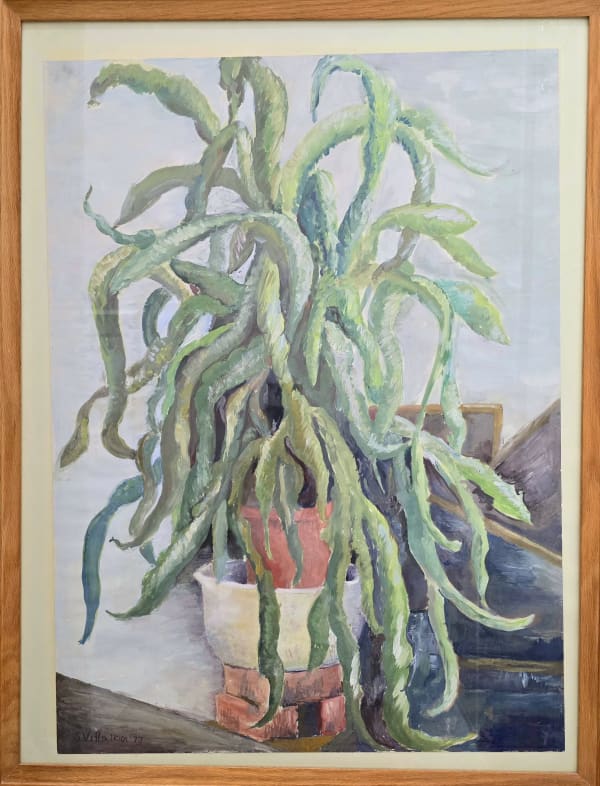 Stephanie Villalba, Medusa, 1977