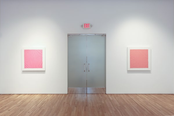 Fingerprintspink Install