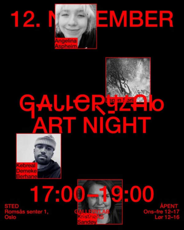 Art Night 12 november - Kunstnersamtale, Med Kristine Sandøy, Espen Sørli, Angelina Aspheim, Kebreab Demeke og Arna - Lund Johnsenhnsen