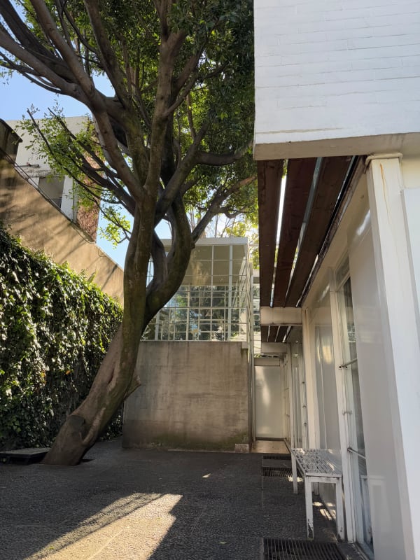 Whatsapp Image 2025 11 19 At 06 03 05