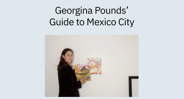 Georgina's Guide to Mexico City, Art Guides