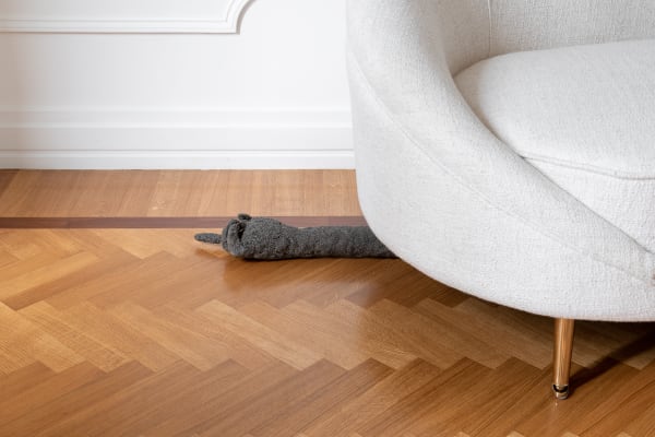 Piano d’ascolto by Andreas Zampella Installation view