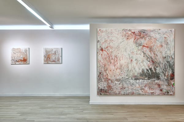 Installation view The Tragedy of Acis and Galatea - Danny Avidan