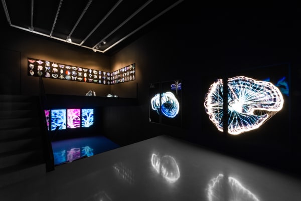 Ot Ao High Quality 10