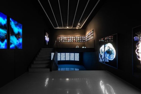 Ot Ao High Quality 4