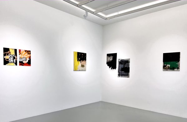 Go Z Hizas Enstalasyon 3