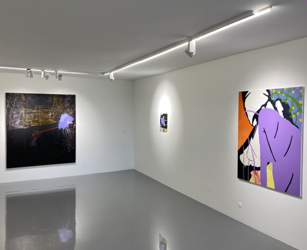 Go Z Hizas Enstalasyon 5