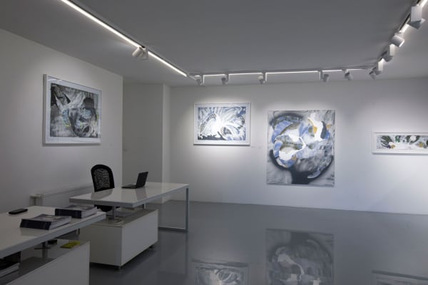 Menevis Olgu U Lkenciler Enstalasyon 12