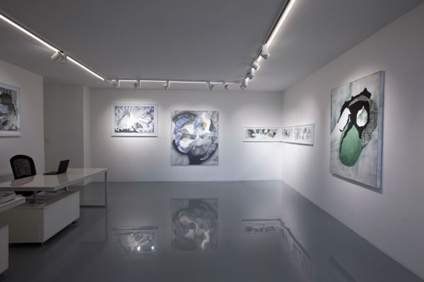 Menevis Olgu U Lkenciler Enstalasyon 9