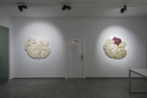 Yokus Yukar Olcay Kus Enstalasyon 2