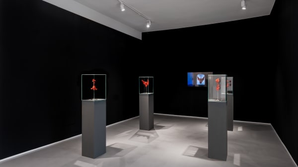 Allegory of Caritas (An Act of Love) - Installation View