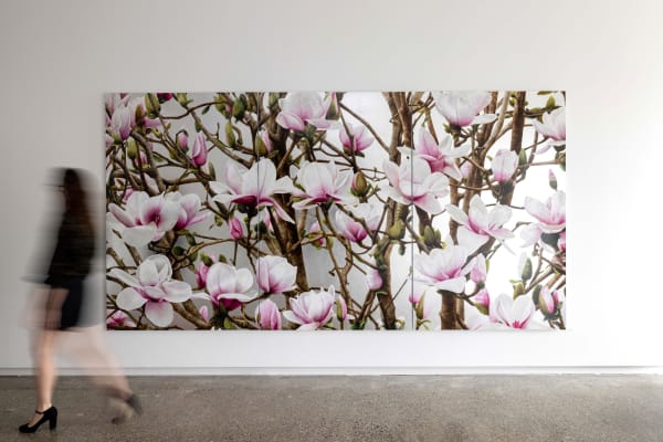 Neal Palmer featured in Art Edit