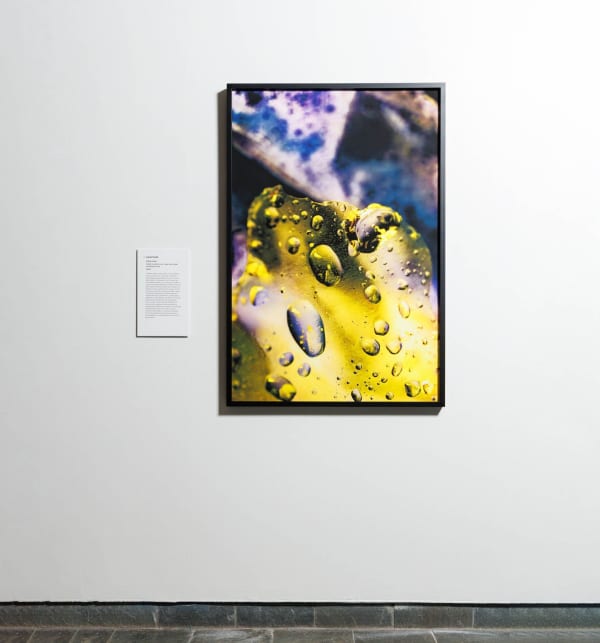 National Contemporary Art Awards 2023 finalists00