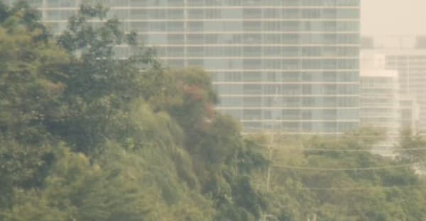 C20E5F30 Ff87 47Bd B9Da Afd44Aa02Ba9