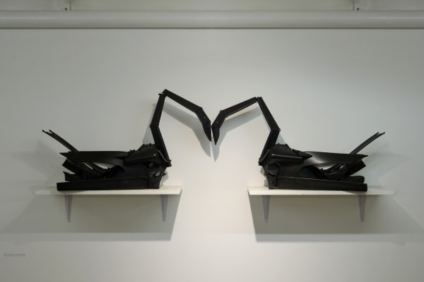 501004962 1140212168122901 3478014959285494994 N