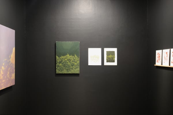 518084769 1178546354289482 800608047103041874 N