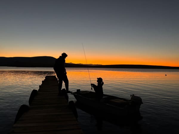 A119587C 1A4D 4441 Bfe4 4A03A6Fc332A