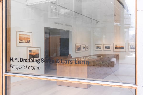 Project Lofoten Installation View 6