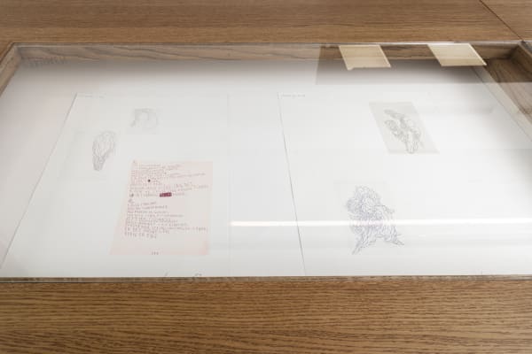 Ocj Exhibition View 4