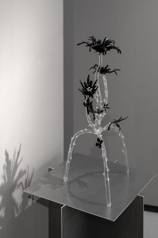 Clara Schweers, Affin Sp.003, 2025