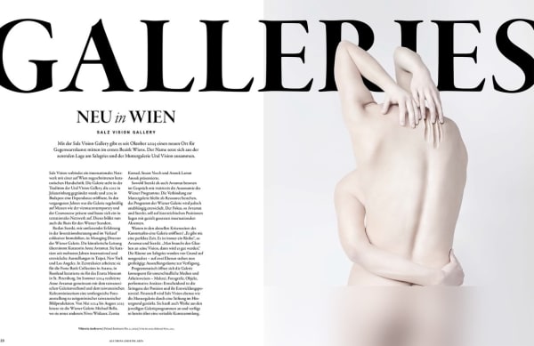 Salz Vision Gallery in the current PARNASS Special Auctions and Fine Arts