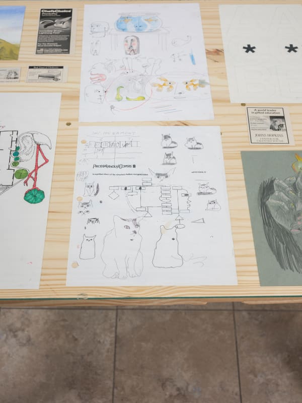 Gd Roundabout Walkabout 19