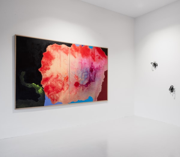 Paintings from the cave Gianni Politi