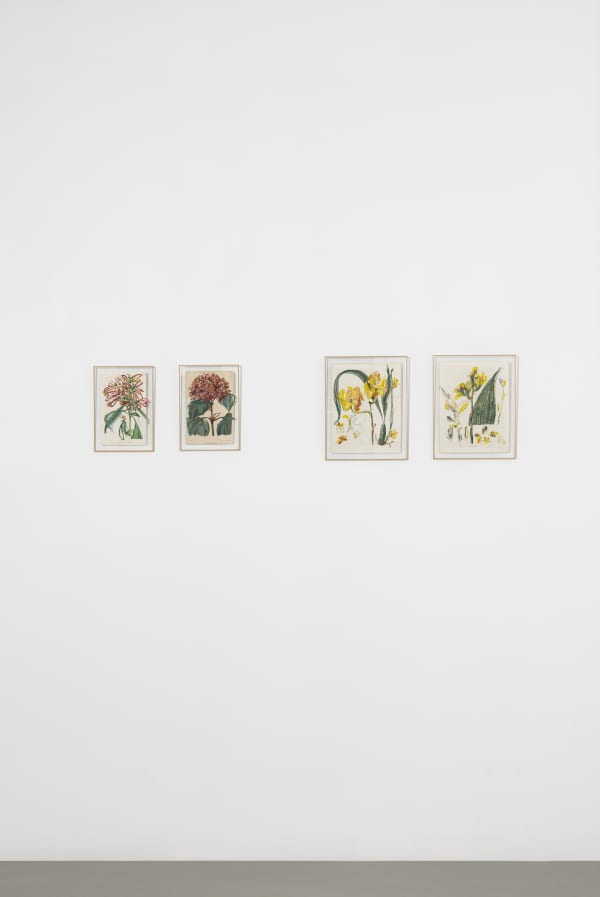 Sophie Kitching 2025 Denature Installation View Alice Folker Gallery 02