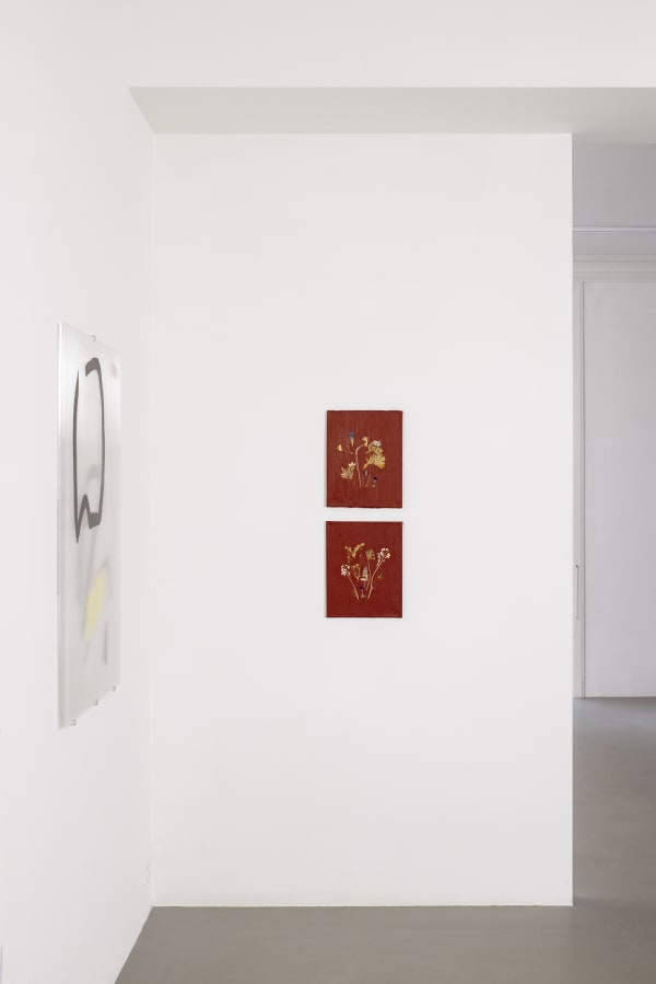 Sophie Kitching 2025 Denature Installation View Alice Folker Gallery 06