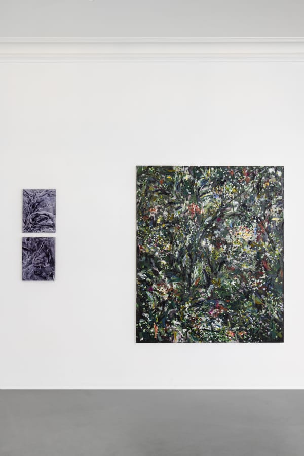 Sophie Kitching 2025 Denature Installation View Alice Folker Gallery 10