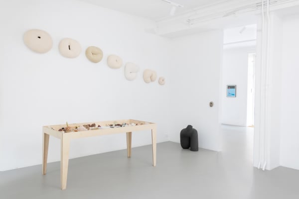 Yukari Hotta 2024 Soft Shell Alice Folker Gallery 01