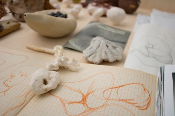 Yukari Hotta 2024 Soft Shell Alice Folker Gallery 10