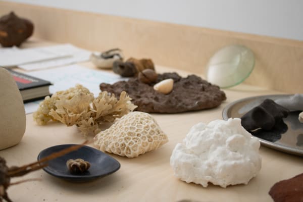 Yukari Hotta 2024 Soft Shell Alice Folker Gallery 11