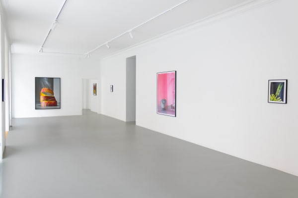 Alwin Lay 2024 Tensions Installation View Alice Folker Gallery 05