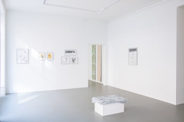 Anna Stahn John Bensons Metropolina Rose Hotel Installation View Alice Folker Gallery 04